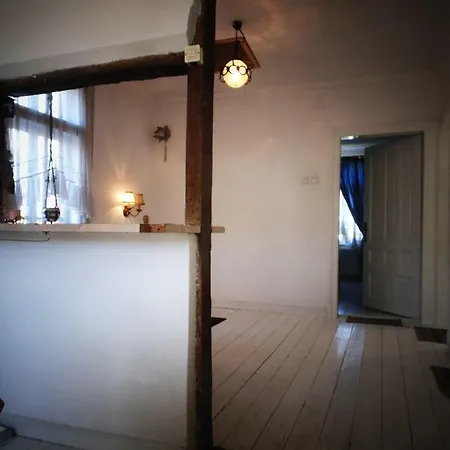 Unique Art House For 10 With Near Nature - къщата на художника Pensiune