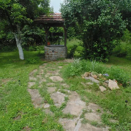 Unique Art House For 10 With Near Nature - къщата на художника