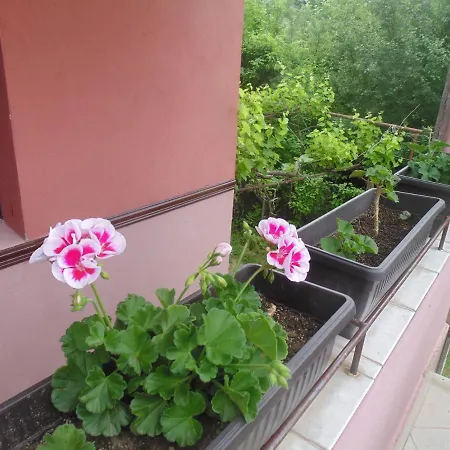 Unique Art House For 10 With Near Nature - къщата на художника