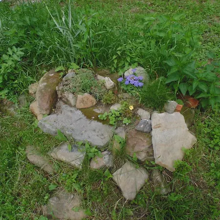 Pensiune Unique Art House For 10 With Near Nature - къщата на художника *